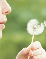 A photo of someone blowing a dandelion